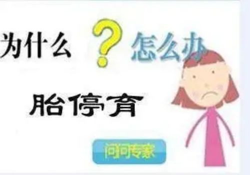 重庆试管助孕公司：抗卵巢抗体阳性做试管有影响吗？试管前做好检查