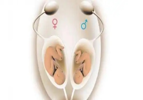 试管打完夜针可以做阴超，对卵泡质量并不会影响